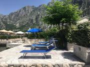 Top Kotor