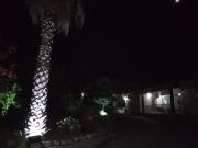 Top Kefalos
