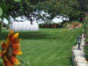 Top Wolimierz Top Wolimierz