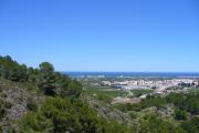 Top Oliva