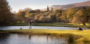 Top Dullstroom