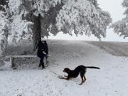 Top Zlatibor