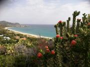 Top Geremèas Top Geremèas