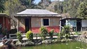Top Mirik