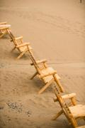 Top Traverse City