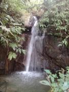 Top Mirik