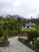 Top Mirik