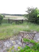 Top Kwiejce Nowe