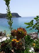 Top Himare