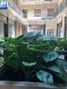 Top Budapest Top Budapest