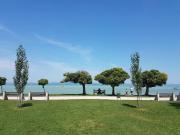 Top Balatonszárszó