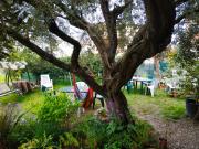 Top Desenzano del Garda