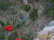 U Heleny i Piotra pokoje goscinne