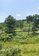 Top Shillong