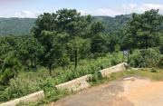Top Shillong