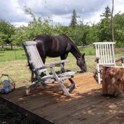 Top Saint-Martin-aux-Chartrains