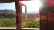 Top Rocchetta Belbo