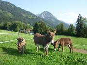 Top Oberstdorf