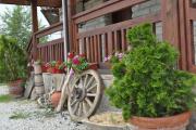 Guest House Brezata Betula