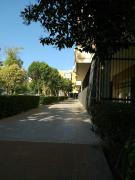 Top Seville