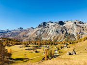 Top Sils Maria Top Sils Maria