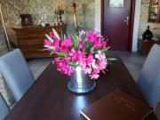 Top Savignano sul Panaro