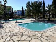 Top Paphos City