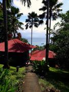 Top Bunaken