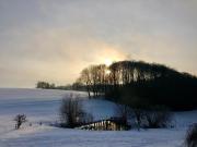 Top Halver Top Halver