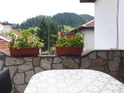 Top Trigrad