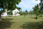Top Pula