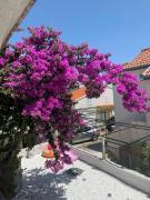 Top Trogir