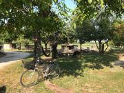 Top Ponti Sul Mincio