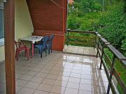 Top Gołubie Top Gołubie