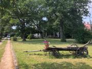 Celesta Garden apartment Istria