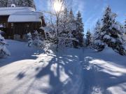 Meribel Altitude1600 chalet 6 personnes en pleine nature au milieu des pistes
