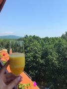 Top Primorsko