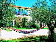 Top Umag