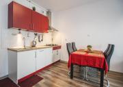 Apartament Lublin Stare Miasto "Wild Cat"