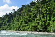 Top Bukit Lawang