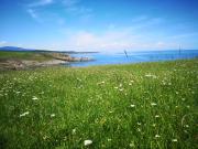 Amour bleu - Синя Лю-Бо-В