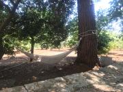 Villa Miccoli apartments