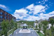 Top Lhasa