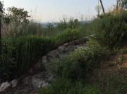 Top Castelvetere sul Calore