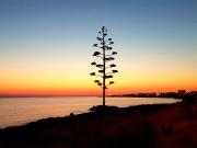 Top Marina di Mancaversa