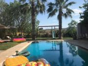 Top Koilás Top Koilás