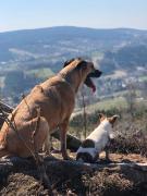 Top Albrechtice v Jizerských horách