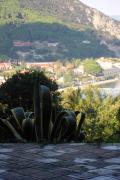 Top Marciana Marina