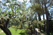 Top Bagno a Ripoli
