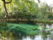 Top San Giorgio a Liri